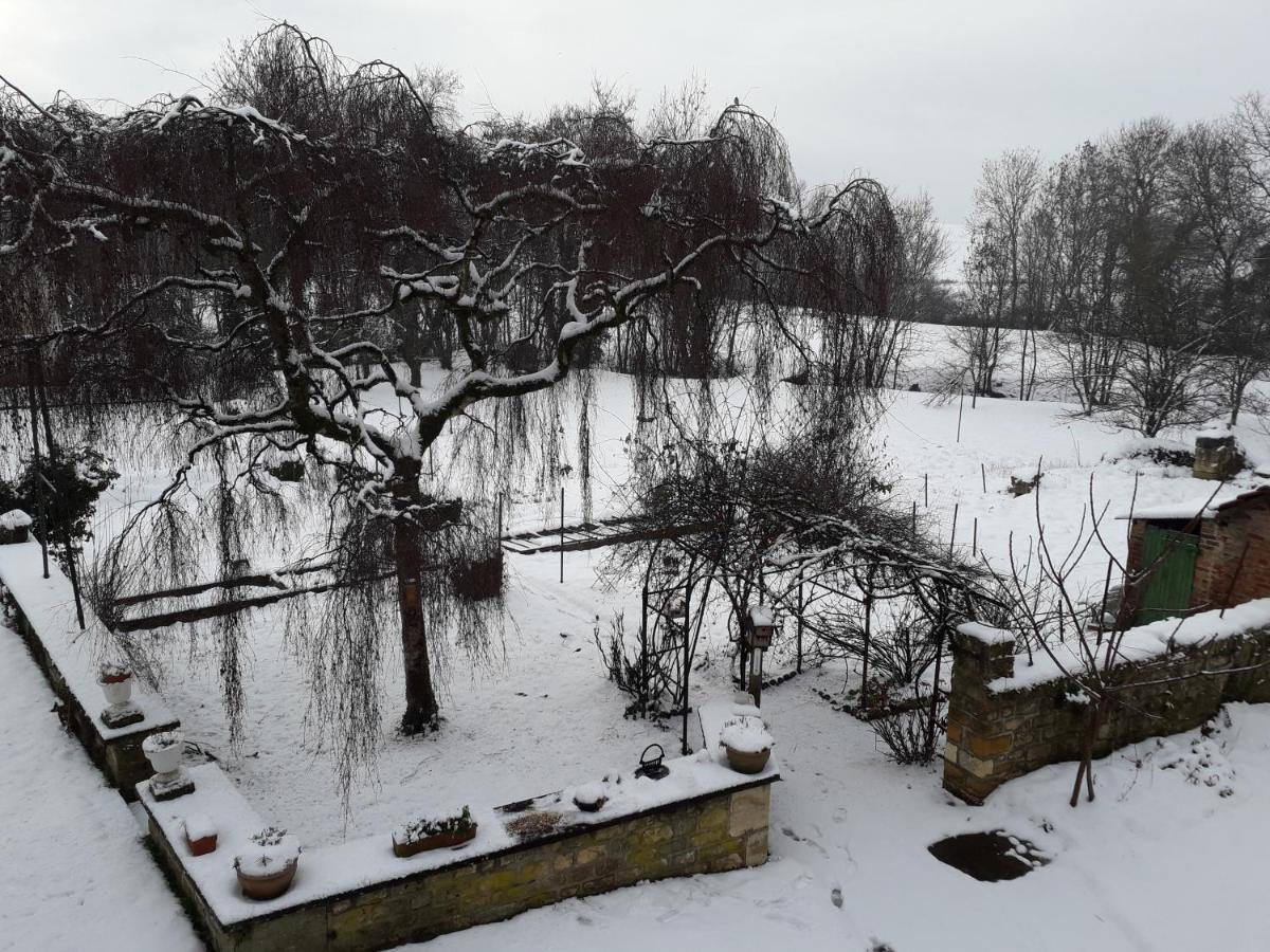 Gite Tante Aurore Et Chambres D'Hotes Chemery-Chehery Dış mekan fotoğraf